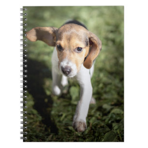 Cuaderno Animales de bebé más afectados Beagle Puppy