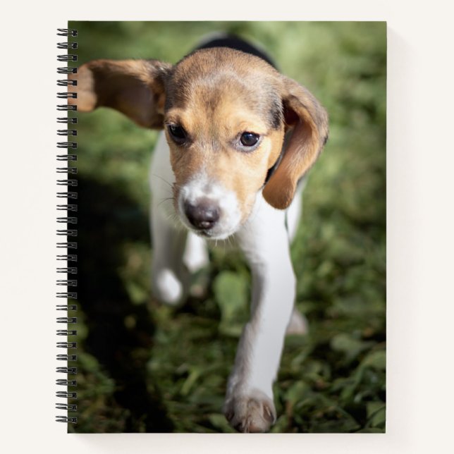 Cuaderno Animales de bebé más afectados | Beagle Puppy (Anverso)