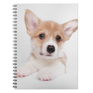 Cuaderno Animales de bebé más afectados   Bebé dulce Corgi