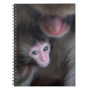 Cuaderno Animales de bebé más afectados Bebé Macaque Mono
