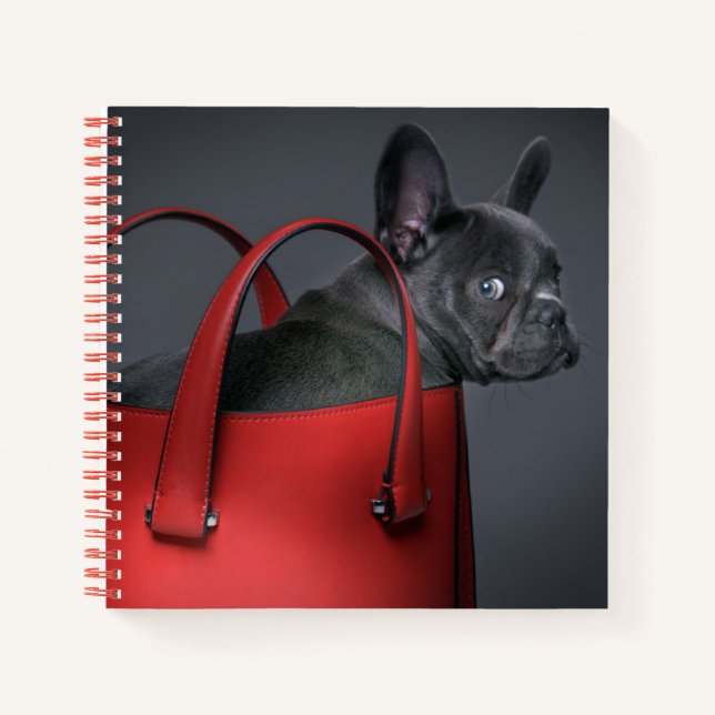 Cuaderno Animales de bebé más afectados | Bolsa de mano roj (Anverso)