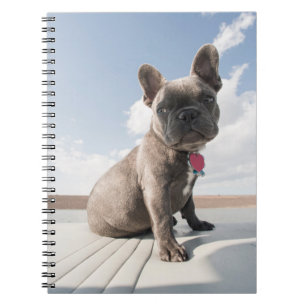 Cuaderno Animales de bebé más afectados   Bote de Bulldog f