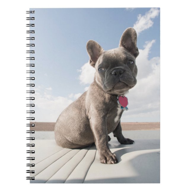 Cuaderno Animales de bebé más afectados | Bote de Bulldog f (Frente)