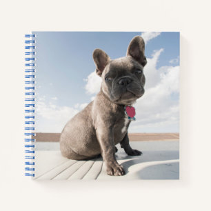 Cuaderno Animales de bebé más afectados   Bote de Bulldog f