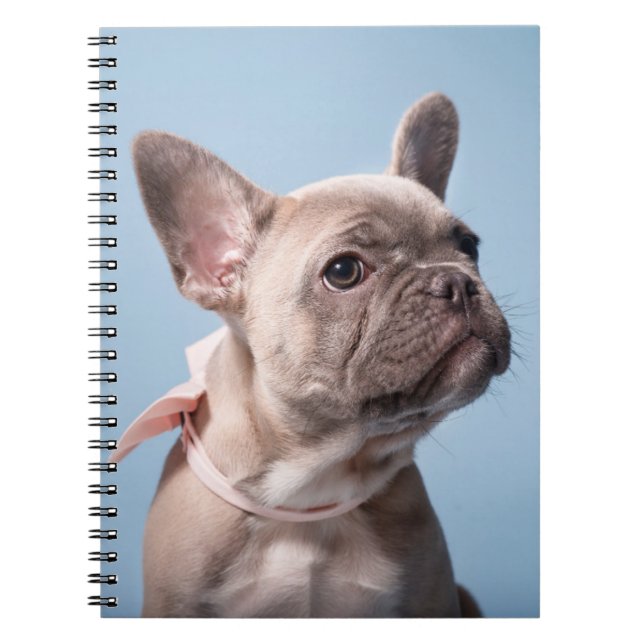 Cuaderno Animales de bebé más afectados | Bulldog francés d (Frente)