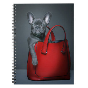 Cuaderno Animales de bebé más afectados Bulldog francés e