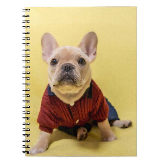 Cuaderno Animales de bebé más afectados | Bulldog francés V (Frente)