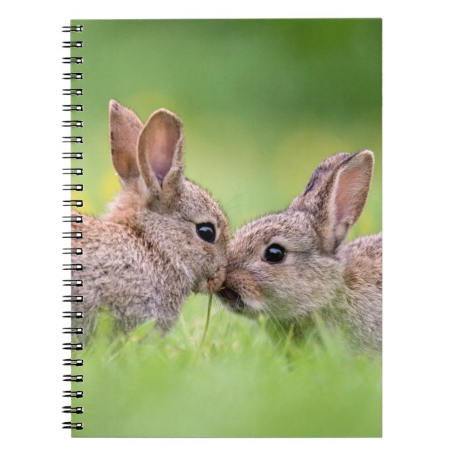 Cuaderno Animales de bebé más afectados | Bunny Kiss (Frente)