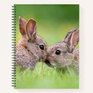 Cuaderno Animales de bebé más afectados Bunny Kiss