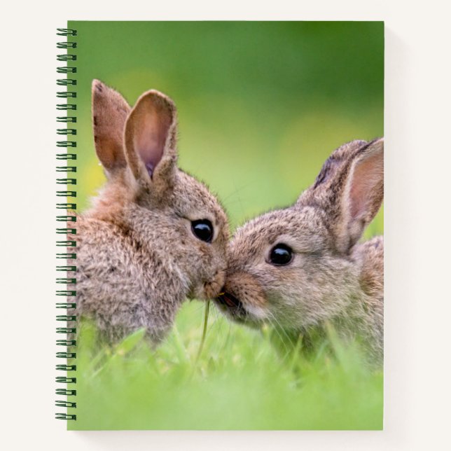 Cuaderno Animales de bebé más afectados | Bunny Kiss (Anverso)