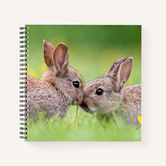 Cuaderno Animales de bebé más afectados | Bunny Kiss (Anverso)