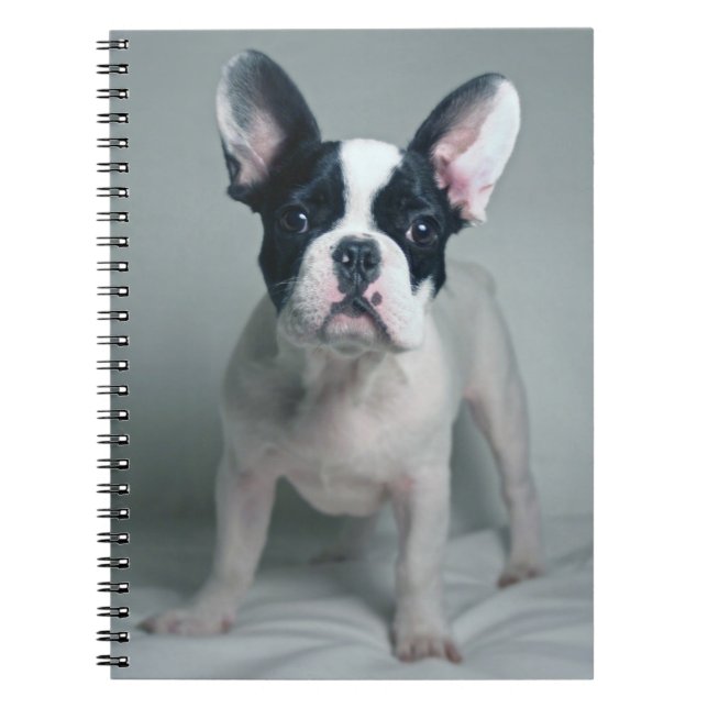 Cuaderno Animales de bebé más afectados | Cachorro de Bulld (Frente)