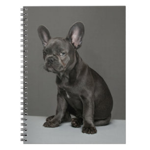 Cuaderno Animales de bebé más afectados Cachorro de Bulld