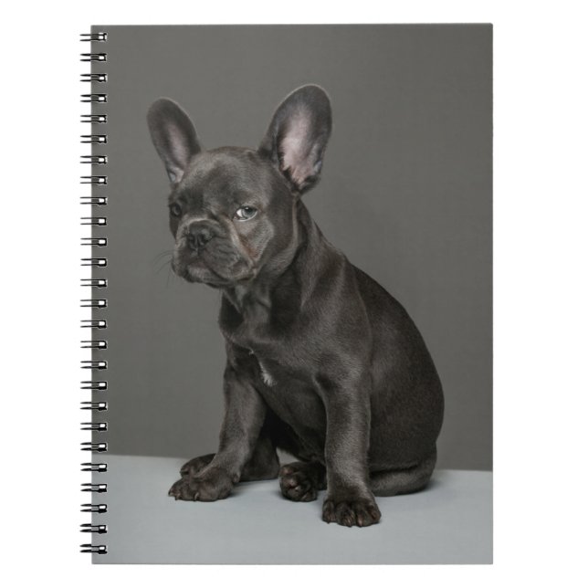 Cuaderno Animales de bebé más afectados | Cachorro de Bulld (Frente)