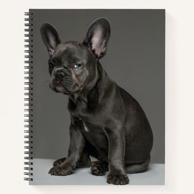Cuaderno Animales de bebé más afectados | Cachorro de Bulld (Anverso)