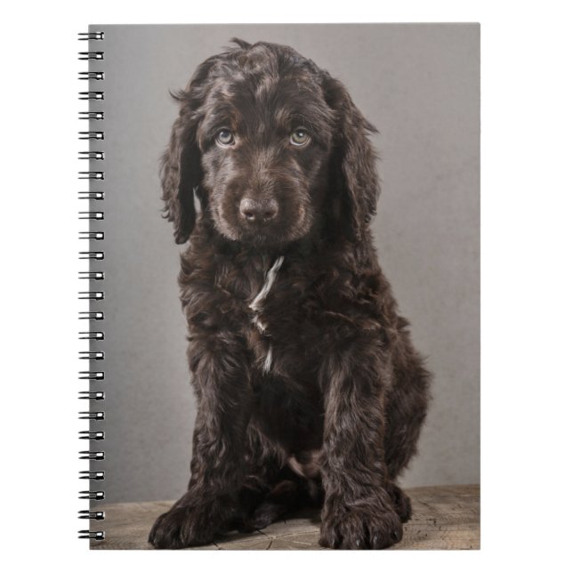 Cuaderno Animales de bebé más afectados | Cachorro de coca (Frente)