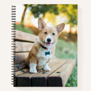 Cuaderno Animales de bebé más afectados   Cachorro de Corgi