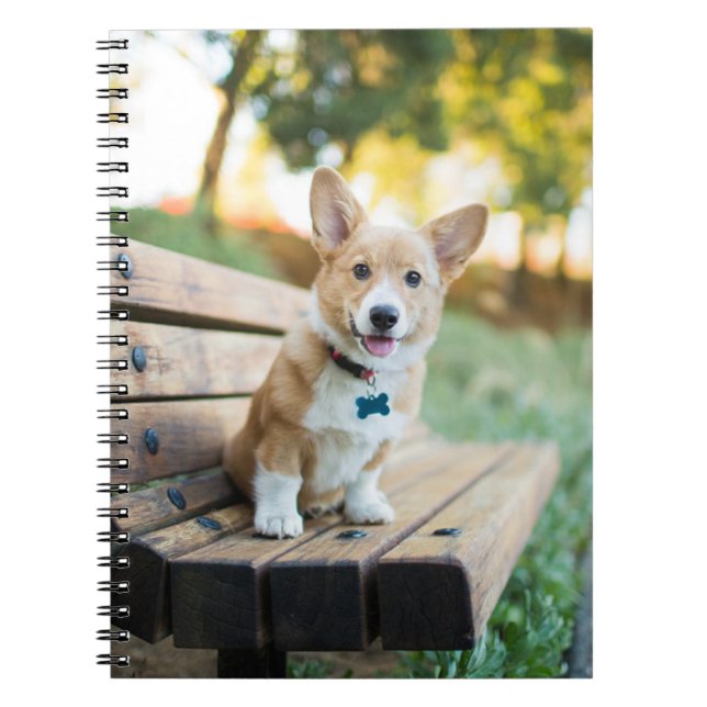 Cuaderno Animales de bebé más afectados | Cachorro de Corgi (Frente)