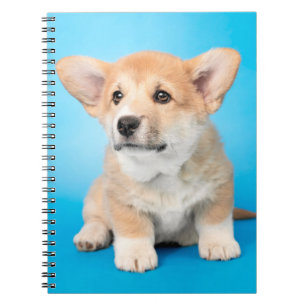 Cuaderno Animales de bebé más afectados   Cachorro de Corgi