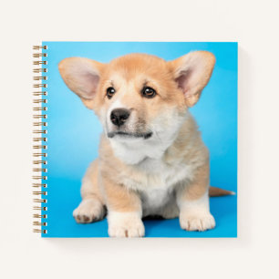 Cuaderno Animales de bebé más afectados Cachorro de Corgi
