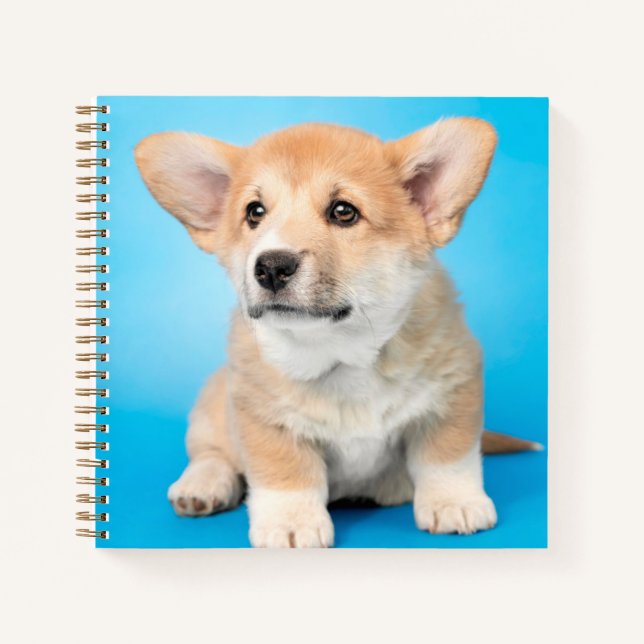 Cuaderno Animales de bebé más afectados | Cachorro de Corgi (Anverso)