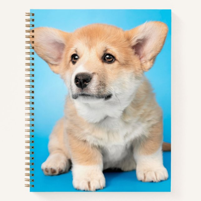Cuaderno Animales de bebé más afectados | Cachorro de Corgi (Anverso)