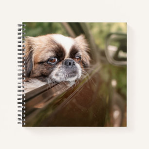 Cuaderno Animales de bebé más afectados   Cachorro pekingés