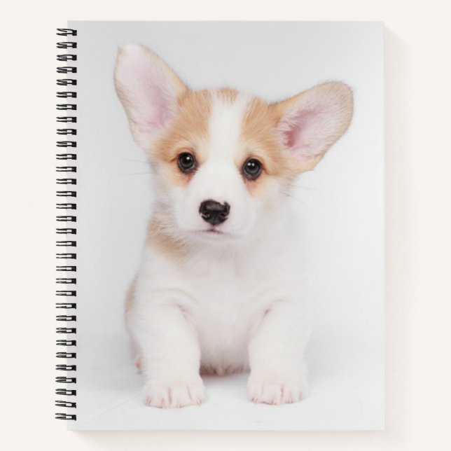 Cuaderno Animales de bebé más afectados | Cachorros de Corg (Anverso)