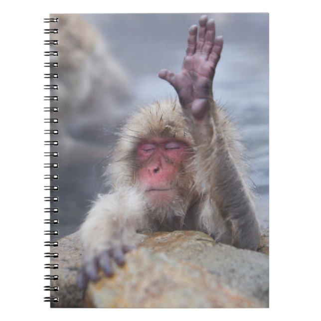 Cuaderno Animales de bebé más afectados | Cara de mono de n (Frente)