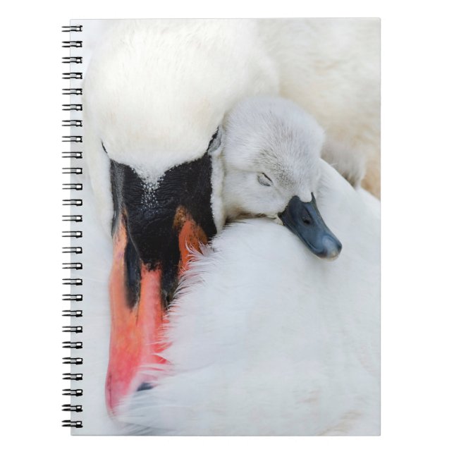 Cuaderno Animales de bebé más afectados | Cisne de mamada m (Frente)