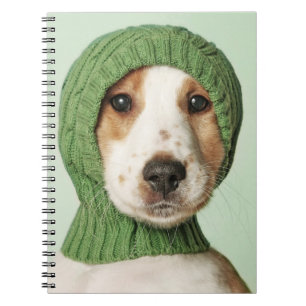 Cuaderno Animales de bebé más afectados Cocker Spaniel Pu