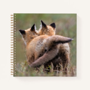 Cuaderno Animales de bebé más afectados   Colas de bloqueo 