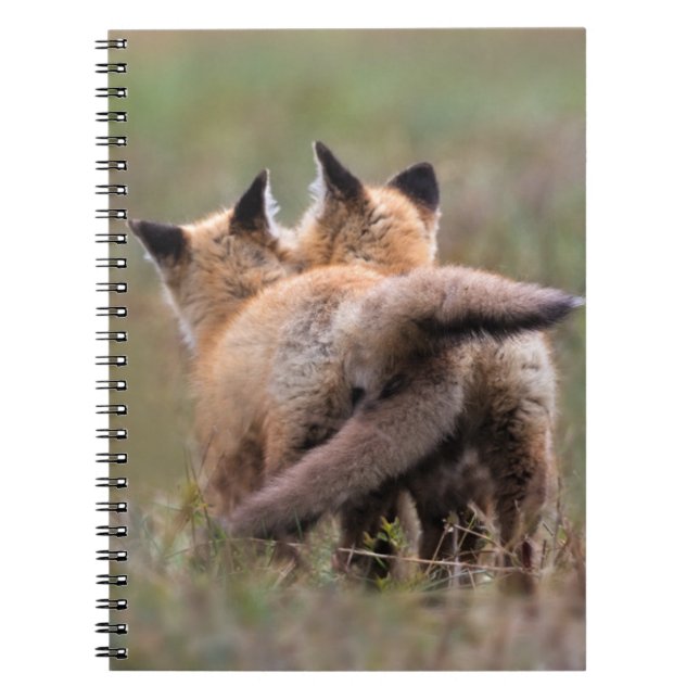 Cuaderno Animales de bebé más afectados | Colas de bloqueo  (Frente)