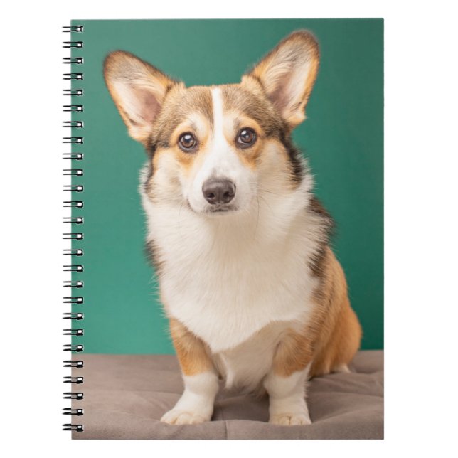 Cuaderno Animales de bebé más afectados | Corgi en Verde az (Frente)