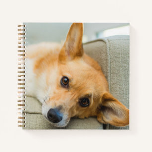 Cuaderno Animales de bebé más afectados Corgi Puppy en el