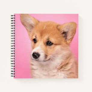 Cuaderno Animales de bebé más afectados Corgi Puppy en Ro