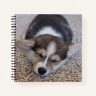 Cuaderno Animales de bebé más afectados   Corgi Puppy en Sh