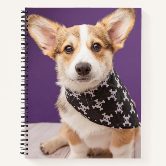 Cuaderno Animales de bebé más afectados | Corgi Puppy Skull (Anverso)