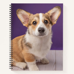 Cuaderno Animales de bebé más afectados   Corgi Puppy sobre