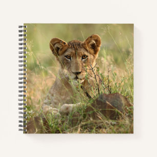 Cuaderno Animales de bebé más afectados Cubo de león para