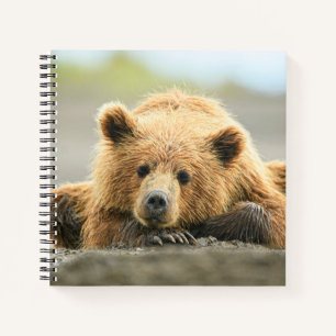 Cuaderno Animales de bebé más afectados Cubo de oso marró