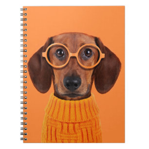 Cuaderno Animales de bebé más afectados   Dachshund Naranja