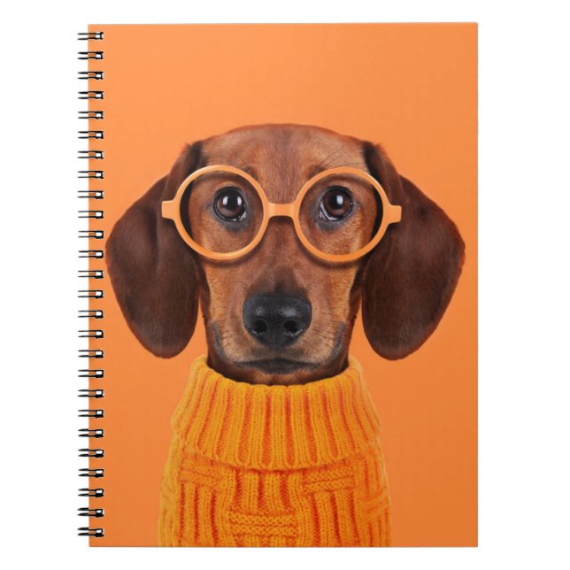 Cuaderno Animales de bebé más afectados | Dachshund Naranja (Frente)