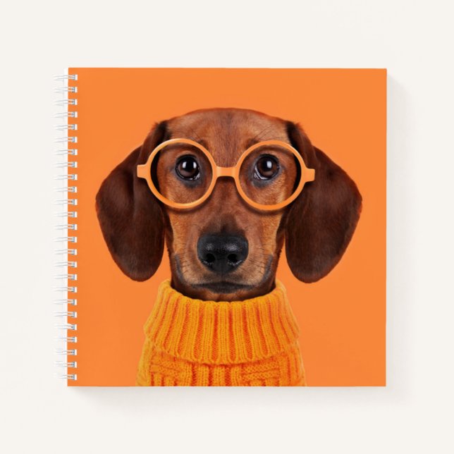 Cuaderno Animales de bebé más afectados | Dachshund Naranja (Anverso)