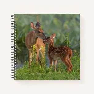 Cuaderno Animales de bebé más afectados Deer y bebé