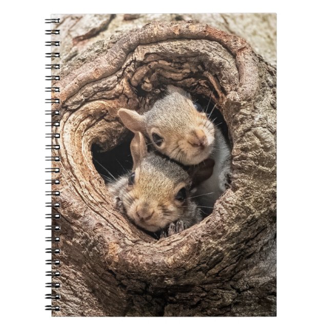 Cuaderno Animales de bebé más afectados | Dos ardillas jóve (Frente)
