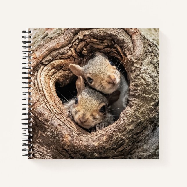 Cuaderno Animales de bebé más afectados | Dos ardillas jóve (Anverso)