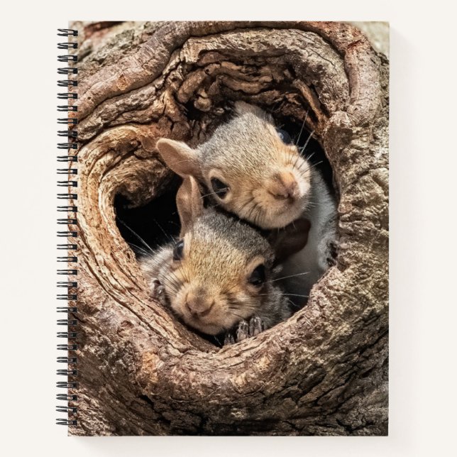 Cuaderno Animales de bebé más afectados | Dos ardillas jóve (Anverso)