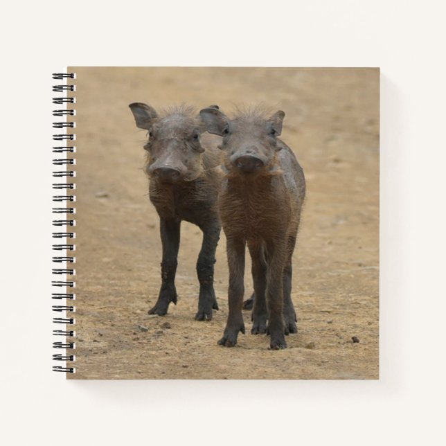 Cuaderno Animales de bebé más afectados | Dos jóvenes warth (Anverso)