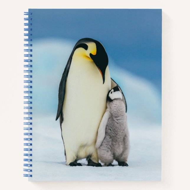 Cuaderno Animales de bebé más afectados | Emperador Pingüin (Anverso)